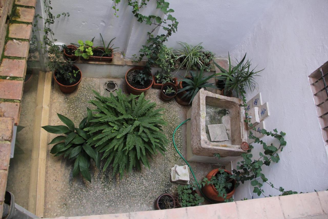 Xàtiva Las Coles Apartasuites מראה חיצוני תמונה