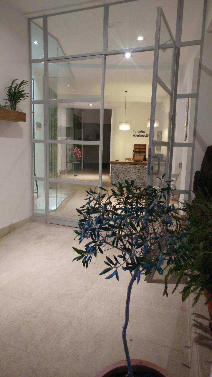 Xàtiva Las Coles Apartasuites מראה חיצוני תמונה