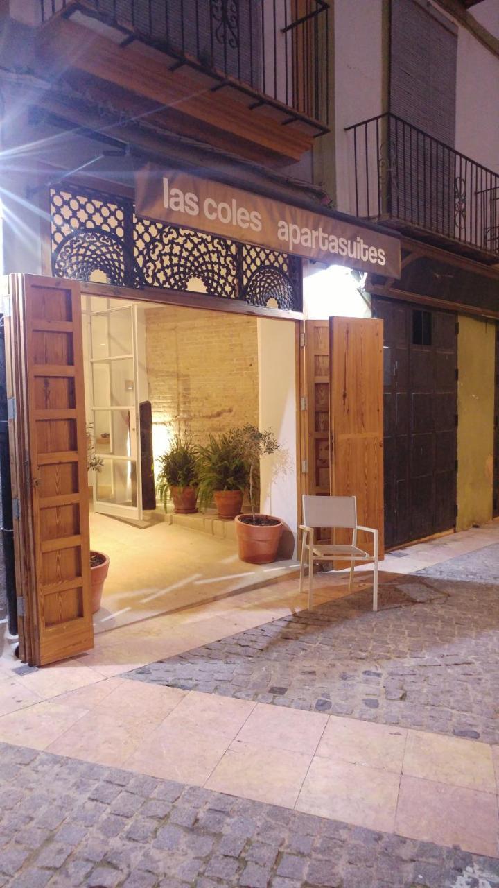 Xàtiva Las Coles Apartasuites מראה חיצוני תמונה